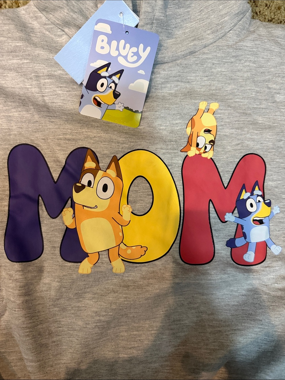 NWT Bluey Mom Graphic Hoodie Light Gray Size XS Target